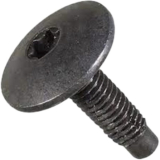 Parafuso de Carroceria para Renault Clio Mégane Sandero Zoe – Cód. 7703008162