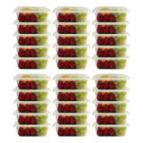 Kit Com 30 Potes 1000 Ml Transparente Livre De Bpa Marmita