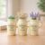 3 Vasos Decorativo Pequeno Cerâmica Com Alça Mini Vasinho Plantinha Decoração Casa Mesa Presente