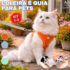 OLLA PRESERVATIVO SENSITIVE + FINO LEVE 8 PAGUE 6 UNIDADES